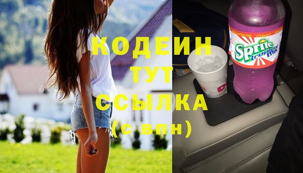 прущие грибы Новодвинск