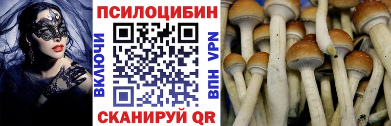 Галлюциногенные грибы прущие грибы  цена   Шахунья 